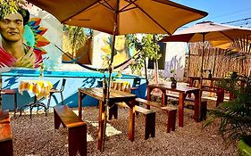 Guacamayas Hostel And Social Laundry
